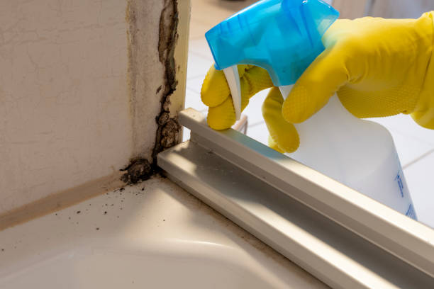 Best Crawl Space Mold Removal  in Rotonda, FL